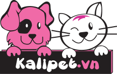 Phụ kiện cho mèo Kalipet